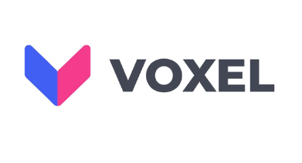 Voxel